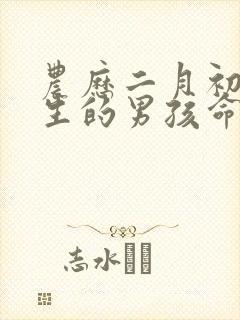 农历二月初六出生的男孩命运