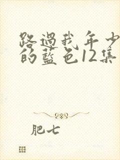 路过我年少时光的蓝色12集免费观看