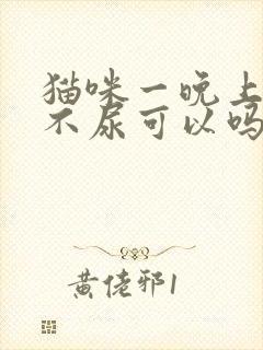 猫咪一晚上不拉不尿可以吗