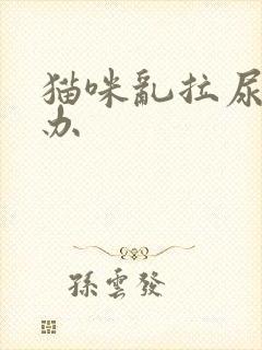 猫咪乱拉尿怎么办