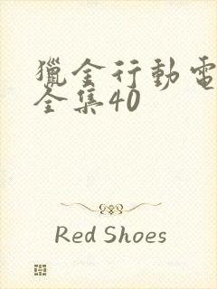 猎金行动电视剧全集40