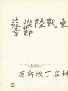 苏灿陆战东最新章节