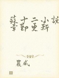 苏十二小说最新章节更新