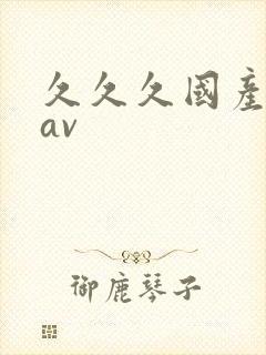 久久久国产成人av