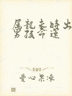 属龙未时出生的男孩命运封面