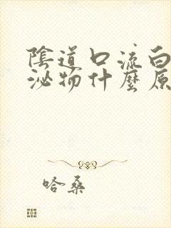 阴道口流白色分泌物什么原因