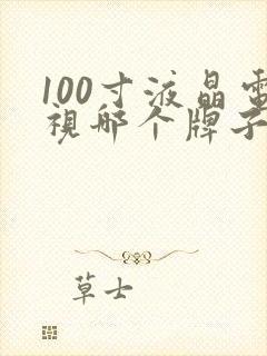 100寸液晶电视哪个牌子好