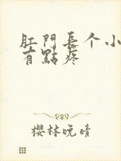 肛门长个小疙瘩有点疼