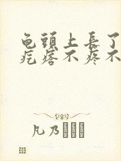 龟头上长了小红疙瘩不疼不痒