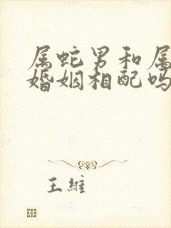 属蛇男和属马女婚姻相配吗封面