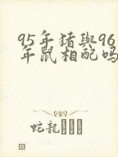 95年猪与96年鼠相配吗