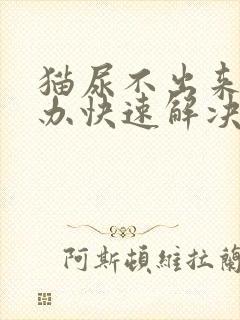 猫尿不出来怎么办快速解决