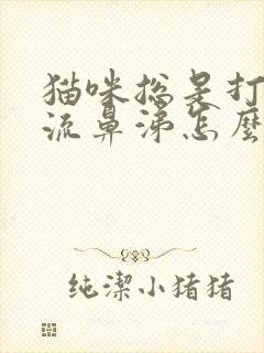 猫咪总是打喷嚏流鼻涕怎么办封面