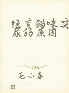 绝育猫咪突然乱尿的原因