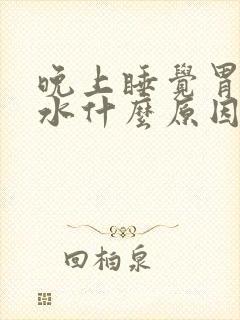 晚上睡觉胃反酸水什么原因