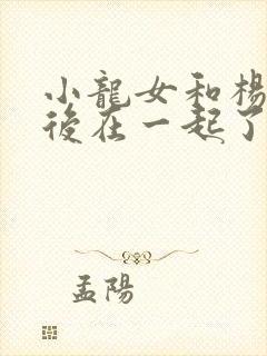 小龙女和杨过最后在一起了吗封面