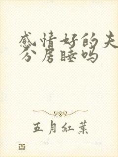 感情好的夫妻会分房睡吗封面