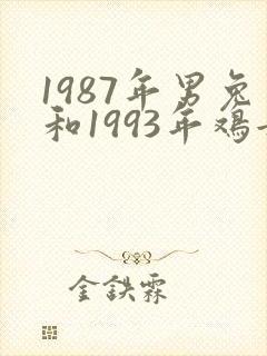 1987年男兔和1993年鸡女婚配
