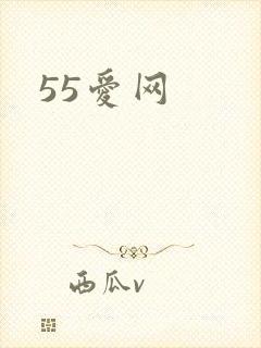 55爱网