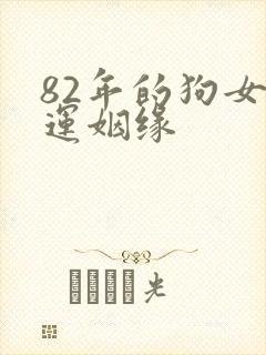 82年的狗女命运姻缘
