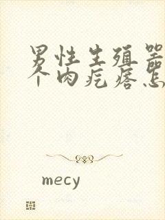 男性生殖器长了个肉疙瘩怎么回事封面