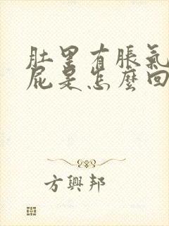 肚里有胀气总放屁是怎么回事封面