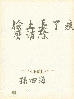 脸上长了痤疮怎么消除