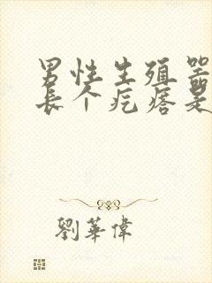 男性生殖器边上长个疙瘩是怎么回事