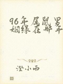 96年属鼠男的姻缘在哪年