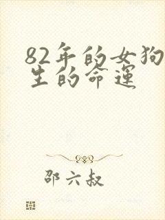 82年的女狗一生的命运