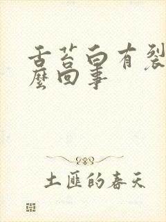 舌苔白有裂纹怎么回事