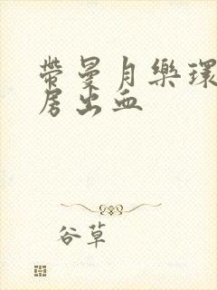 带曼月乐环后同房出血