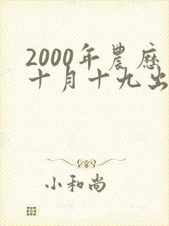 2000年农历十月十九出生男孩命运