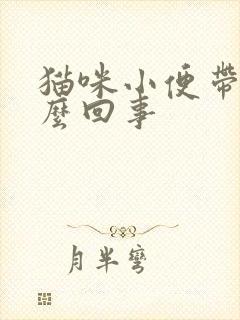 猫咪小便带血怎么回事