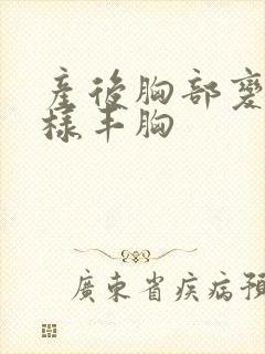 产后胸部变小怎样丰胸封面