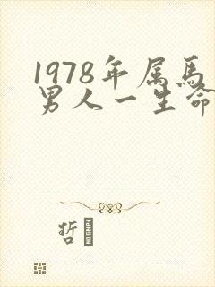 1978年属马男人一生命运封面