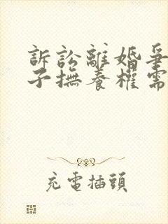 诉讼离婚争取孩子抚养权需要找律师吗