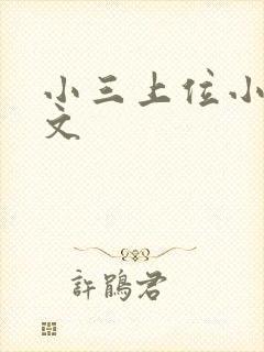 小三上位小说全文