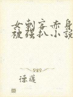 女刺客赤身裸体被强扒小说封面