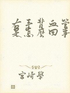 右手背血管突出是怎么回事封面