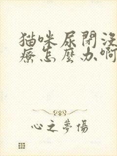 猫咪尿闭没钱治疗怎么办啊