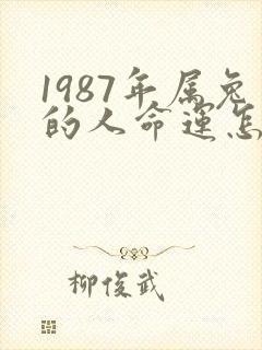 1987年属兔的人命运怎么样