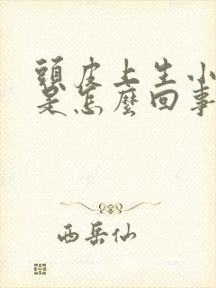 头皮上生小疙瘩是怎么回事