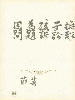 因为孩子抚养权问题诉讼离婚怎么弄