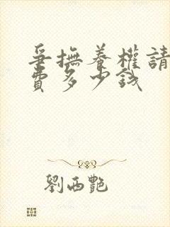 争抚养权请律师费多少钱