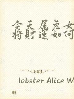 今天属兔女打麻将财运如何