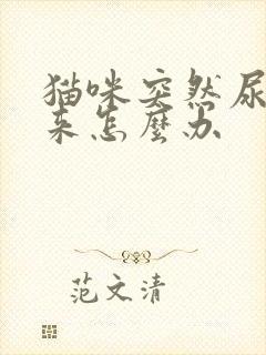 猫咪突然尿不出来怎么办