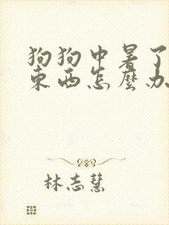 狗狗中暑了不吃东西怎么办