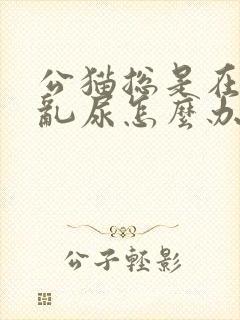 公猫总是在家里乱尿怎么办封面