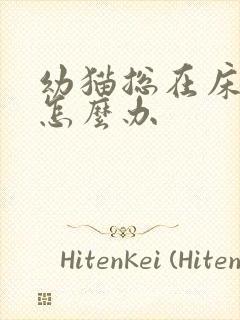 幼猫总在床上尿怎么办